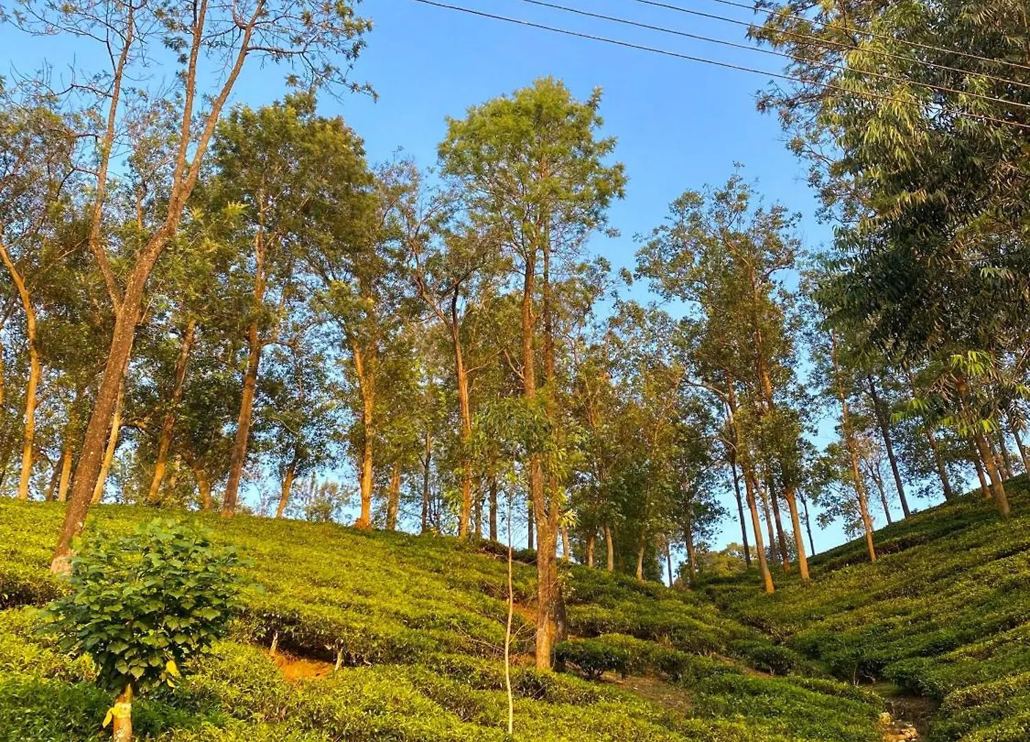 Hotel Crystal Villa Knuckles Kandy