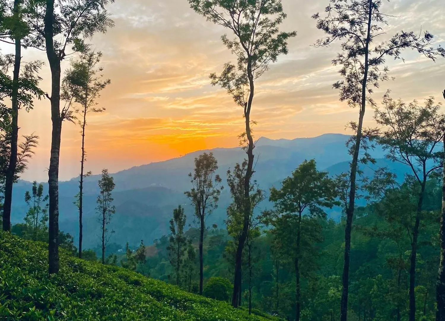 Hotel Crystal Villa Knuckles Kandy